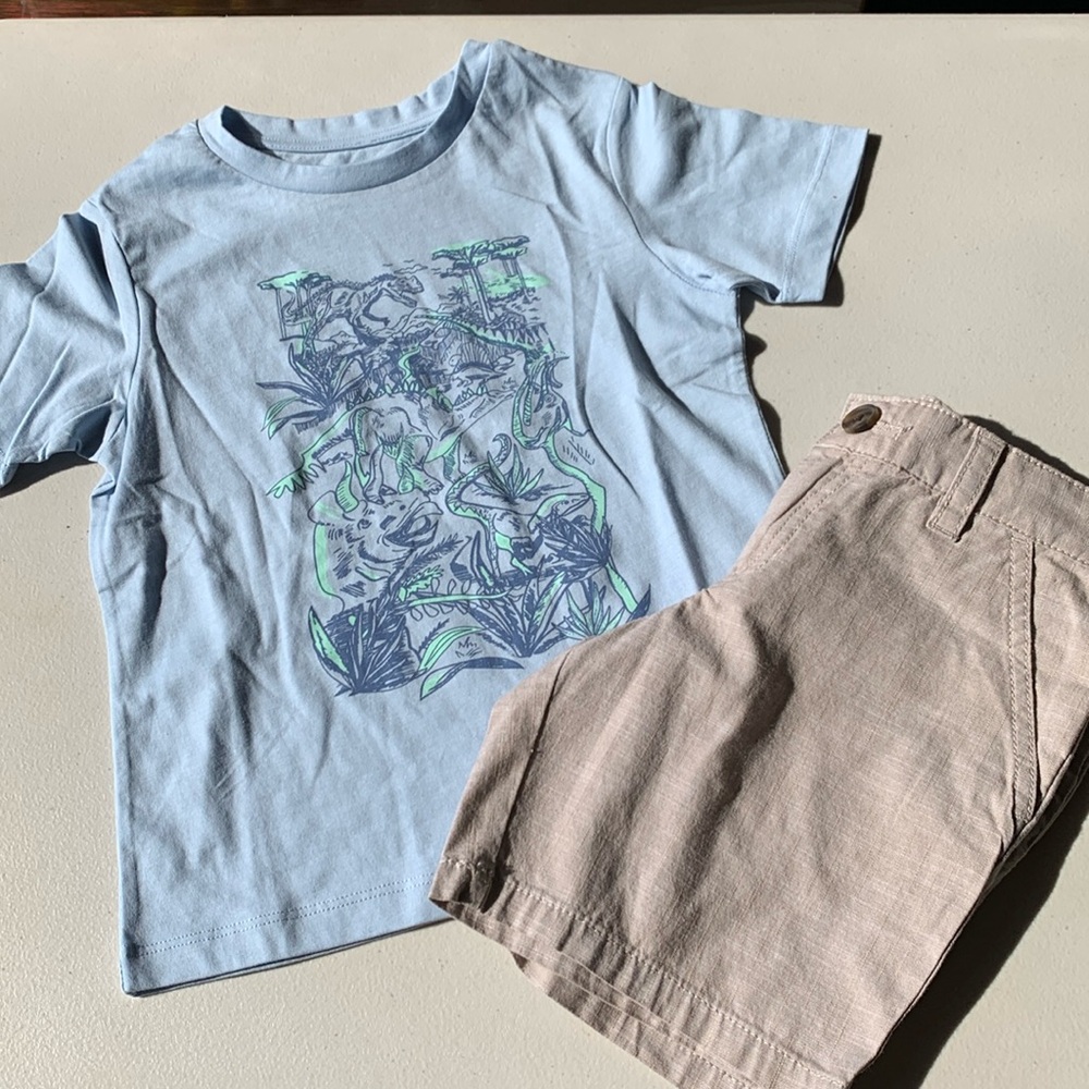 Boys Dinosaur Outfit